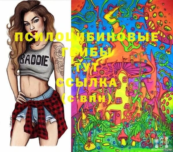 марки nbome Богданович